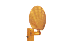 A&B Industries Xenon Seashell Wall Light Sconce