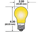 SailboatStuff A17 Medium Screw Base 12V White Frosted Light Bulbs Illustration