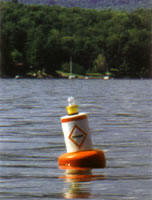 Taylor Made Products  Regulatory Buoy with Solar Powered Lantern Kit